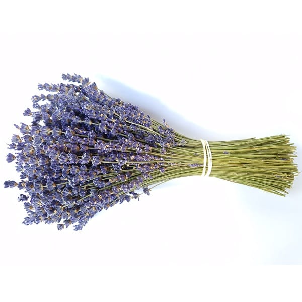 Bouquet lavande extra-bleue Lavanderaie