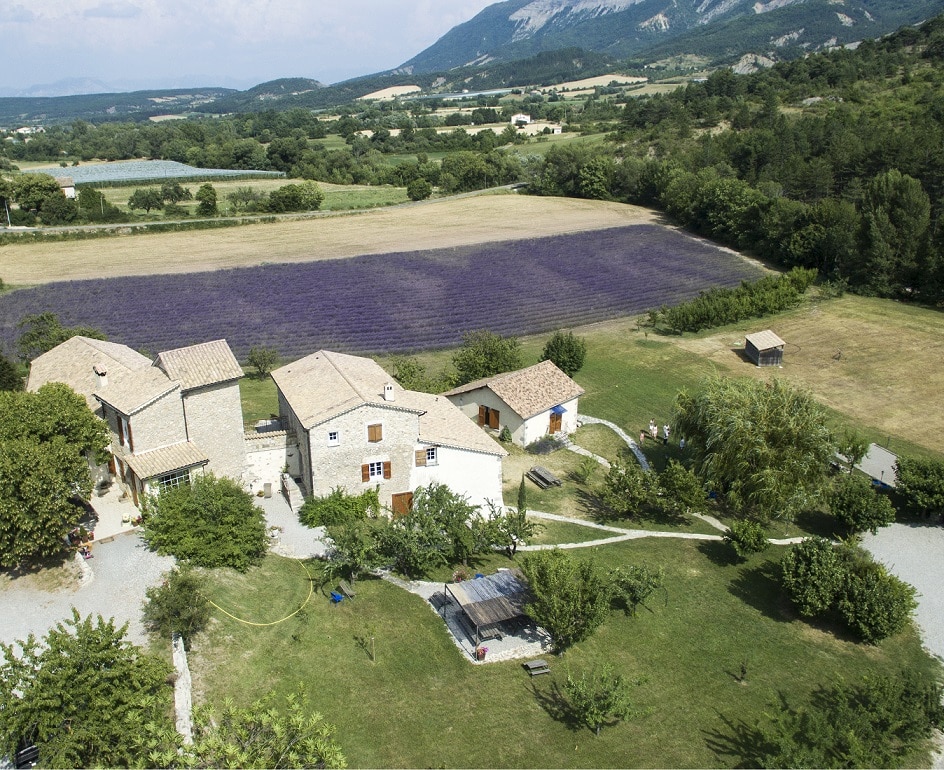 Champ de lavande le Moulin Orpierre
