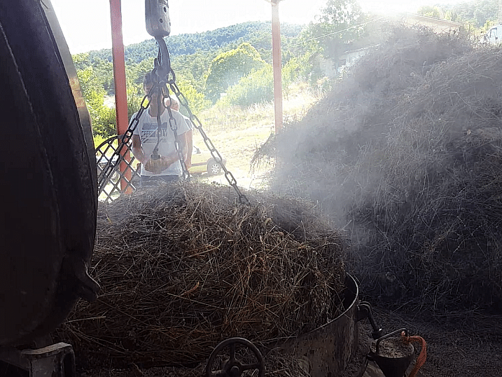 Distillation lavande Baronnies