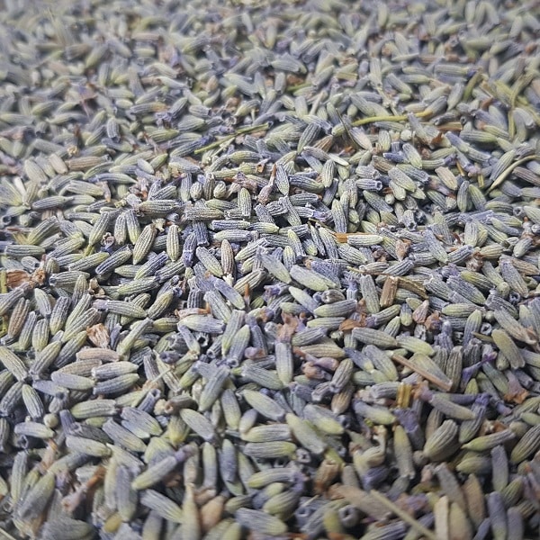 Fleur de Lavande fine culinaire