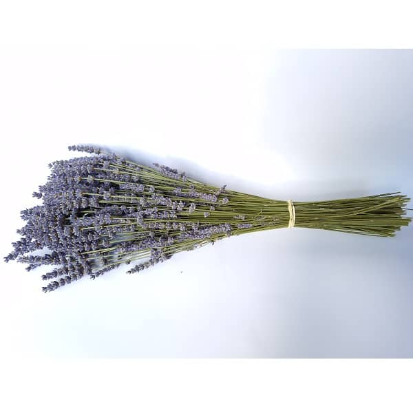 Bouquet lavandin extra bleu