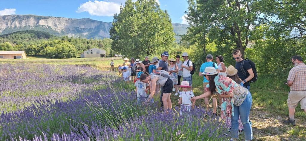 Visiteurs Exploitation Lavanderaie Hautes Baronnies